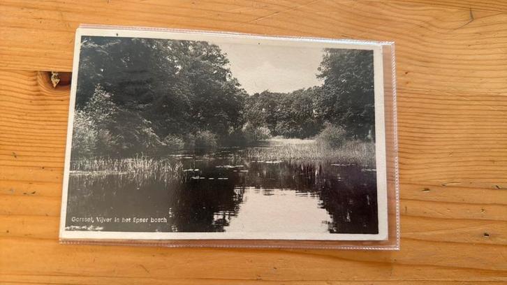 Ansichtkaart Epse vijver in het Epser bosch, Verzamelen, Ansichtkaarten | Nederland, Gelderland, Verzenden