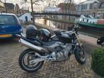 Honda CFB 600, Motoren, Motoren | Honda, Handvatverwarming, Motorrijbewijs A, Particulier, Meer dan 35 kW