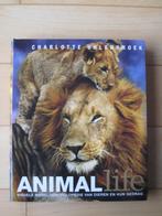 Animal life – Encyclopedie dieren en hun gedrag, Boeken, Encyclopedieën, Dieren, Los deel, Ophalen of Verzenden, Zo goed als nieuw