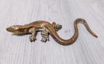 vintage messing salamander, Antiek en Kunst, Ophalen of Verzenden