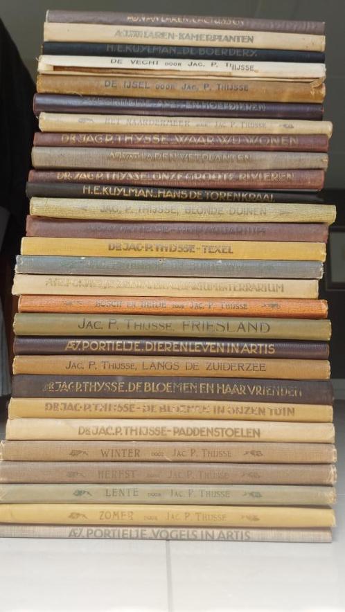 Verkade albums compleet vanaf "Lente", Boeken, Prentenboeken en Plaatjesalbums, Gelezen, Prentenboek, Ophalen of Verzenden