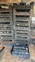 Kweekpotjes groentetuin p 9   0,5 cent kisten, 100 cm of meer, 60 cm of meer, Ophalen of Verzenden, Zo goed als nieuw