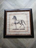 Paard, Antiek en Kunst, Kunst | Tekeningen en Foto's, Ophalen