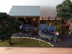 Diorama paarden liefhebber, Hobby en Vrije tijd, Modelbouw | Figuren en Diorama's, Ophalen, Zo goed als nieuw, Groter dan 1:35