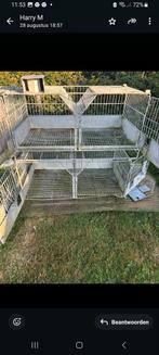 Konijnen Kooien, Dieren en Toebehoren, Ophalen of Verzenden, Zo goed als nieuw, 110 cm of meer, Minder dan 60 cm