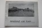 Ameland van toen, Boeken, Geschiedenis | Stad en Regio, Ophalen of Verzenden