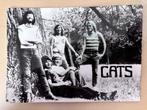 The Cats, Verzamelen, Ophalen of Verzenden, 1960 tot 1980, Ongelopen, Muziek
