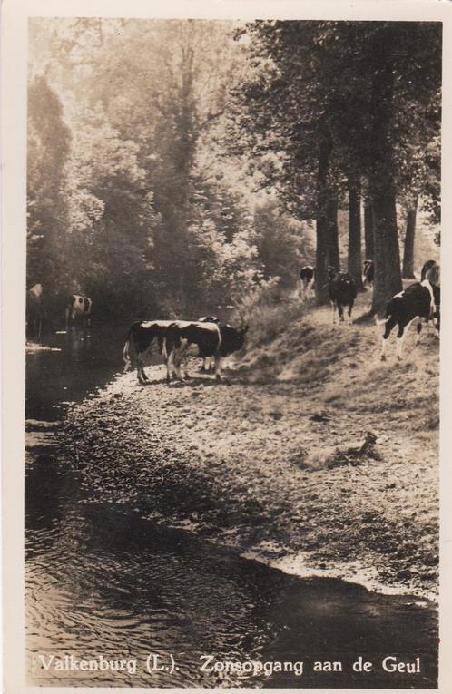 valkenburg geulhem 2 x  met wandelpad,koeien, Verzamelen, Ansichtkaarten | Nederland, Limburg, 1960 tot 1980, Ophalen of Verzenden