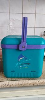 Coolbox Cool Box Koelbox, Ophalen, Koelelement