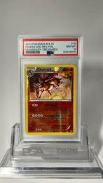 2013 BW Legendary Treasuries Charizard 19/113 Rev holo PSA 8, Ophalen, Zo goed als nieuw, Losse kaart, Foil