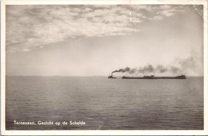 Terneuzen - Gezicht op de Schelde (1953), Verzamelen, Ansichtkaarten | Nederland, Gelopen, Zeeland, 1940 tot 1960, Verzenden