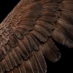 Weta LOTR Masters Collection Statue Salvation at Mount Doom, West Campus 1 76863 Herxheim (DE), Heo GmbH, Nieuw, Ophalen of Verzenden