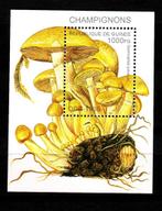 TSS Kavel 810010 Guinee Postfris paddestoelen blok  95, Ophalen, Guinee, Postfris