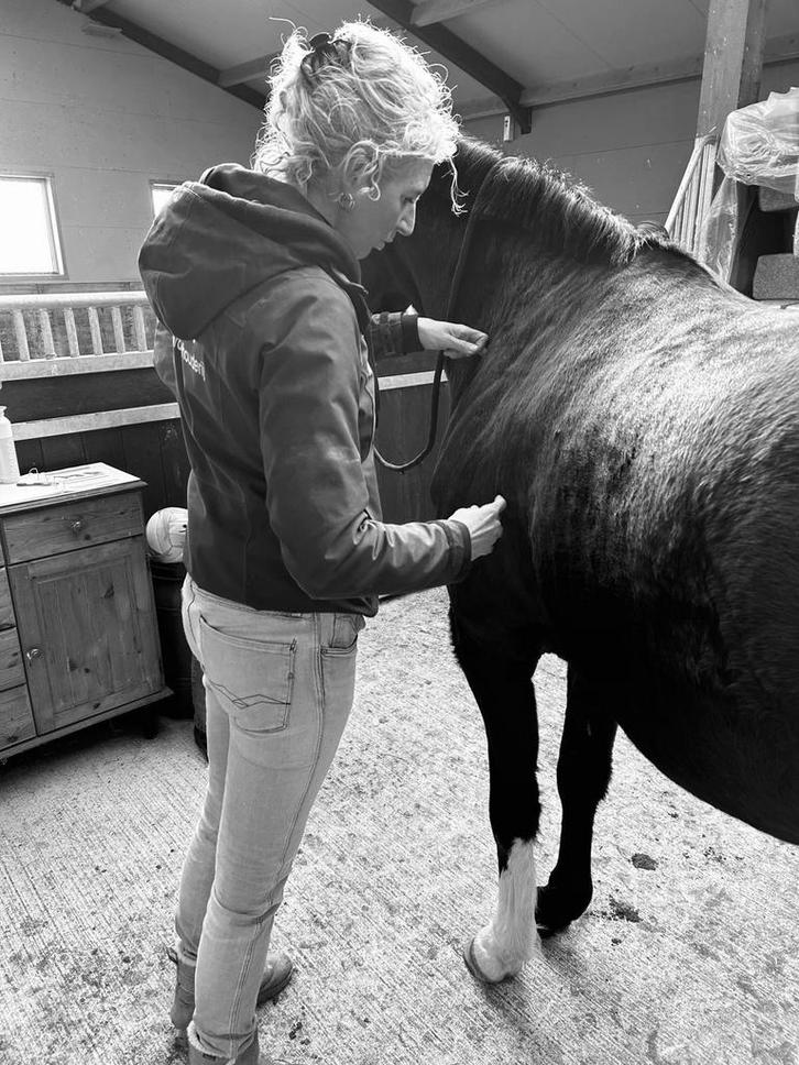 Revalidatie training stalling, Dieren en Toebehoren, Stalling en Weidegang