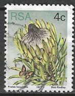 Zuid-Afrika 1977 - Yvert 419 - Langbladige suikerstruik (ST), Verzenden, Zuid-Afrika, Gestempeld