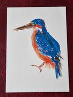 Ansicht IJSVOGEL, Ophalen of Verzenden, 1980 tot heden, Ongelopen, Vogel