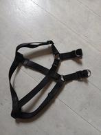 Hondentuig middelmaat zwart, maat M, dubbele sluiting, Ophalen of Verzenden, Zo goed als nieuw, Hondenriem