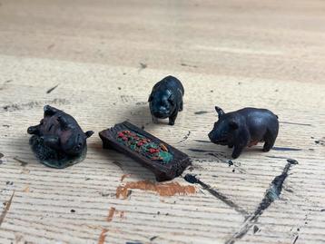 Varkens miniatuur terrein beschikbaar voor biedingen