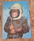 Chimpansee in astronautenpak, Verzenden, Ongelopen