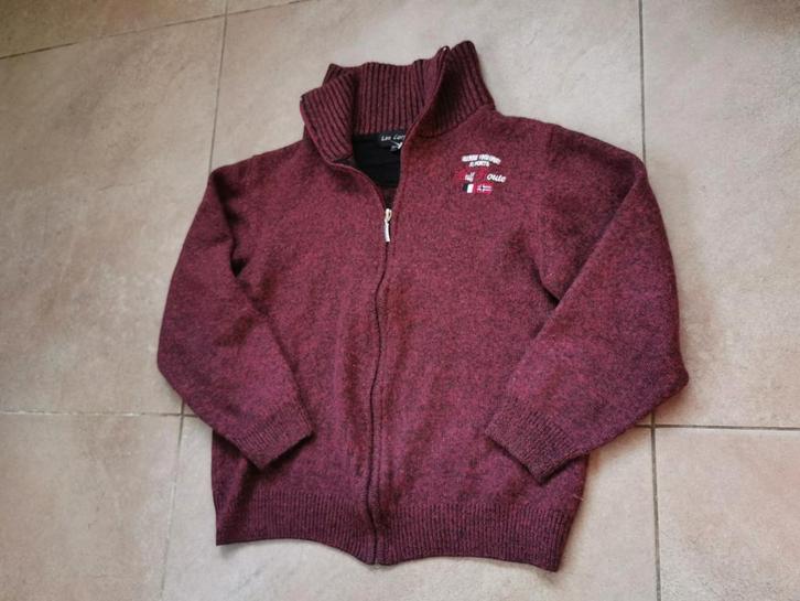 Mooie vest - comfortabel en stijlvol!, Kleding | Heren, Truien en Vesten, Gedragen, Overige maten, Overige kleuren, Ophalen of Verzenden