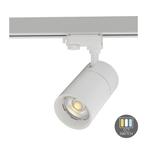 3-FASE RAILSPOT | ROSALIN | 10W | WIT | DIMBAAR | CCT SWITCH, Metaal of Aluminium, Nieuw, Ophalen of Verzenden, PREMIUM