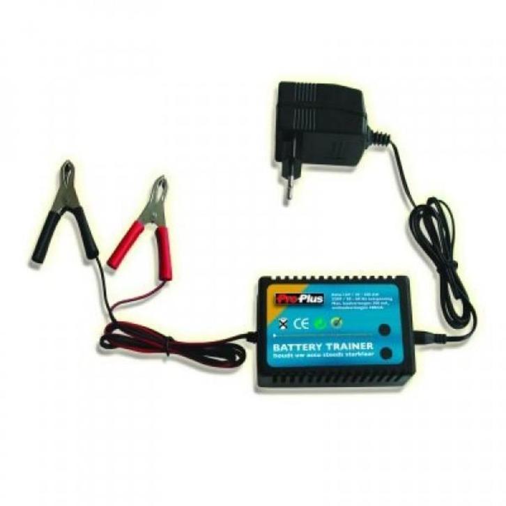 Acculader 12/230 volt Maximaal laadvermogen 300mA, Auto diversen, Autogereedschap, Nieuw, Ophalen of Verzenden