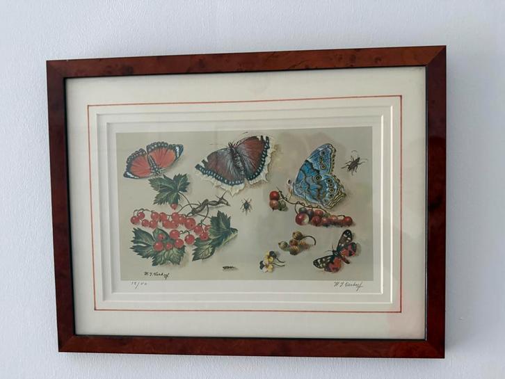 Litho 12/50 van Hans Verhoef, Huis en Inrichting, Woonaccessoires | Lijsten, Zo goed als nieuw, Minder dan 50 cm, Hout, Ophalen of Verzenden