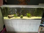 Prachtig aquarium aquatlantis Sublime 200x60, Dieren en Toebehoren, Vissen | Aquaria en Toebehoren, Ophalen, Zo goed als nieuw