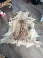 Mooie Vacht - Decoratief, Ophalen, Gebruikt, 100 tot 150 cm, Wit