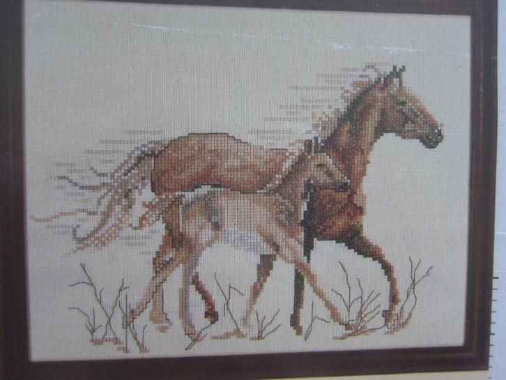 borduur en patroon paarden giraffe konijnen tijger kippen, Hobby en Vrije tijd, Borduren en Borduurmachines, Zo goed als nieuw