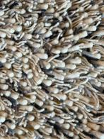 Brink en Campman Spring tapijt NIEUW, Ophalen, Zwart, Rechthoekig, Nieuw