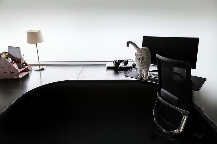 Groot bureau L-vorm, Huis en Inrichting, Bureaus, Gebruikt, Bureau, Ophalen
