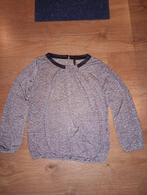 Mooie zilvergrijze top mt L, Kleding | Dames, Tops, Maat 42/44 (L), Ophalen of Verzenden, Zo goed als nieuw, Lange mouw