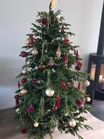 Kerstboom van Black  Box, Diversen, Kerst, Ophalen, Gebruikt
