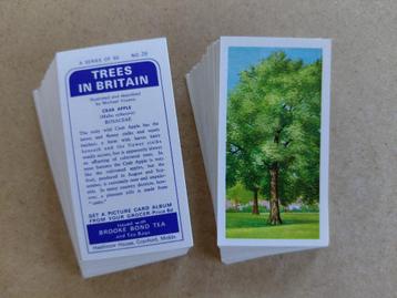 Trees in Britain complete set 50 tea cards bomen 1966 beschikbaar voor biedingen