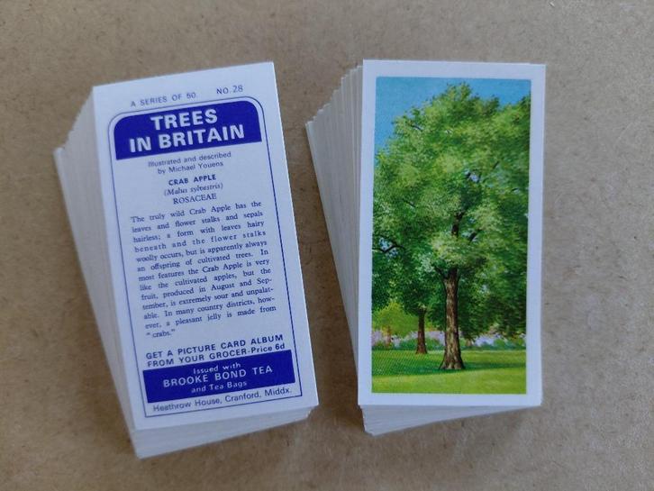 Trees in Britain complete set 50 tea cards bomen 1966, Verzamelen, Overige Verzamelen, Ophalen
