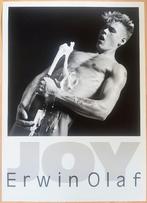 Affiche Erwin Olaf ( JOY ), Boeken, Verzenden, Zo goed als nieuw, Fotografen
