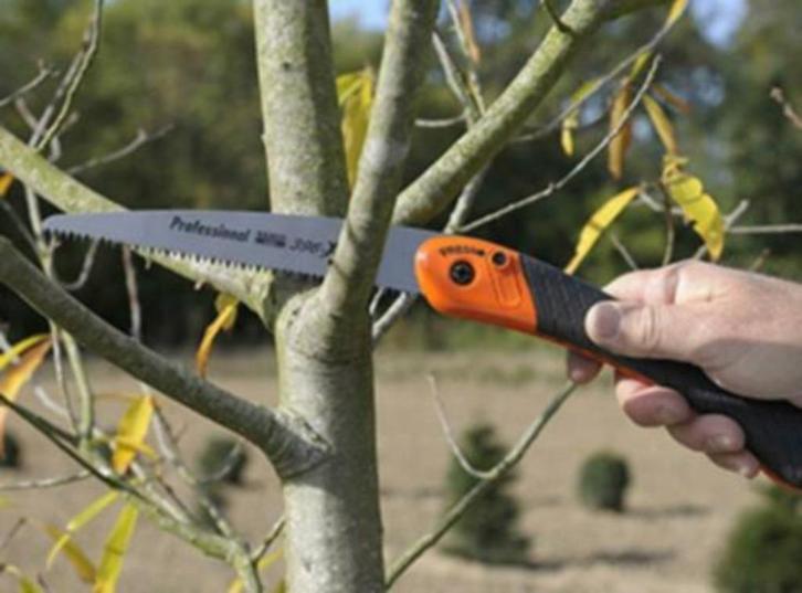 gratis tuinman Ruud, Hobby en Vrije tijd, Overige Hobby en Vrije tijd, Nieuw, Ophalen of Verzenden