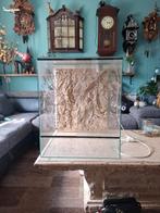 Terrarium, Dieren en Toebehoren, Reptielen en Amfibieën | Toebehoren, Ophalen, Gebruikt, Terrarium of Paludarium