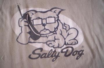  Een licht grijs blauw t- shirt van SALTY DOG in de maat 152 beschikbaar voor biedingen