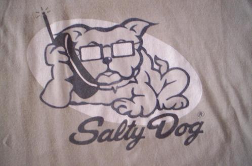 Een licht grijs blauw t- shirt van SALTY DOG in de maat 152, Kinderen en Baby's, Kinderkleding | Maat 152, Jongen, Shirt of Longsleeve