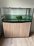 Aquarium met 2 kleine axolotl, Dieren en Toebehoren, Ophalen, Zo goed als nieuw, Leeg aquarium