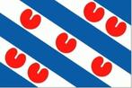 Friese vlag | provincie Friesland, Diversen, Vlaggen en Wimpels, Nieuw, Ophalen of Verzenden