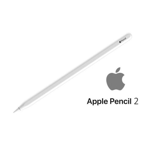 Apple Pencil 2, Computers en Software, Apple iPads, Zo goed als nieuw, Apple iPad, 16 GB, Wit, Ophalen of Verzenden