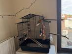 Grote Vogels/Parkieten kooi, Dieren en Toebehoren, Vogels | Hokken en Kooien, Ophalen, Zo goed als nieuw, Vogelkooi, Metaal