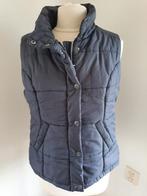 FLG Flashlights bodywarmer donker blauw maat 40, Kleding | Dames, Bodywarmers, Maat 38/40 (M), Blauw, FLG Flashlights, Ophalen of Verzenden