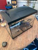 Superfish 44x26x35, Ophalen of Verzenden, Gebruikt, Leeg aquarium