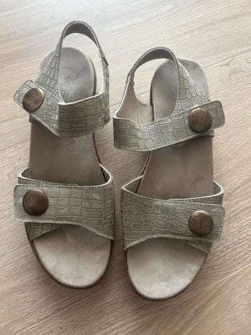 Feyn Sandalen Maat 41 - Kaki Groen beschikbaar voor biedingen