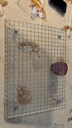 Volière gaas met plexiglas, Dieren en Toebehoren, Knaagdieren en Konijnen | Hokken en Kooien, 110 cm of meer, Ophalen of Verzenden