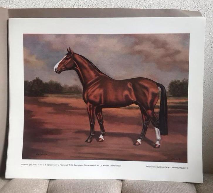 Karl-Ernst Struck Paarden Prenten, Antiek en Kunst, Kunst | Tekeningen en Foto's, Ophalen
